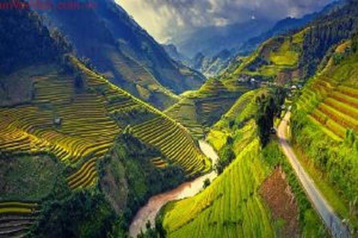 Tiêu đề: 9X Trở Về Quê: Hotspot Matrix Giới Thiệu Cách Sử Dụng Video Marketing Để Phát Triển Khúc Vườn Triệu Bông