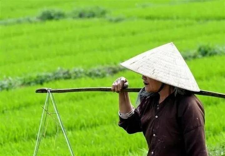 Sẵn sàng “cháy” cùng Summer - Cảm hứng video marketing từ Hotspot Matrix